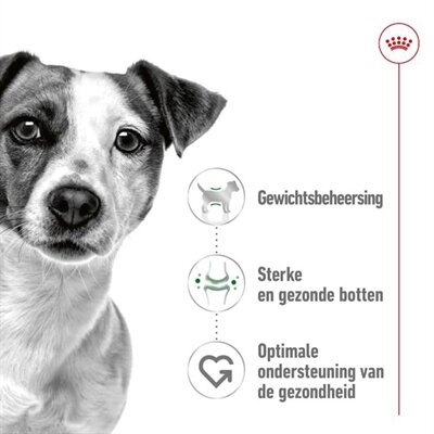 ROYAL CANIN MINI ADULT