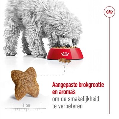 ROYAL CANIN MINI ADULT