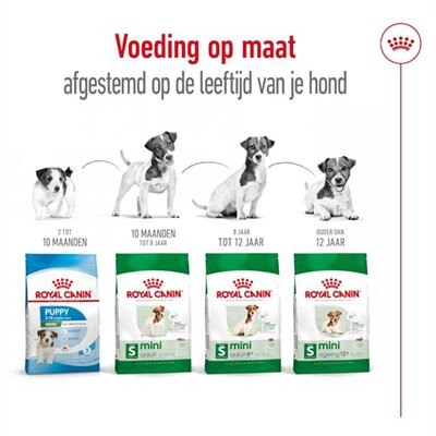 ROYAL CANIN MINI ADULT