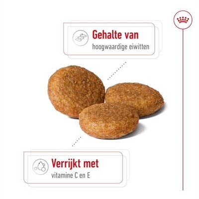 ROYAL CANIN MEDIUM ADULT