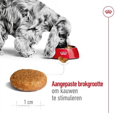 ROYAL CANIN MEDIUM ADULT