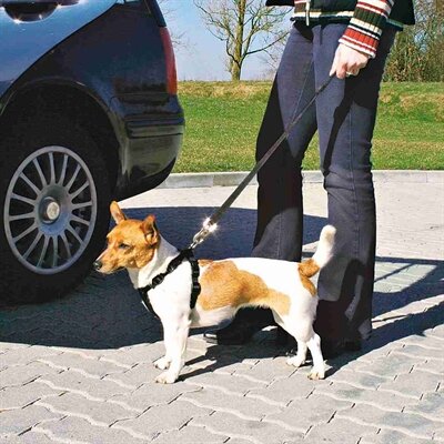 TRIXIE HONDENTUIG AUTO INCLUSIEF GORDEL ZWART
