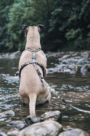 MORSO HONDENTUIG H-TUIG GERECYCLED FULL METAL DOG BRUIN