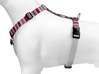 MORSO HONDENTUIG H-TUIG GERECYCLED SKYLINE ROOD / ROZE