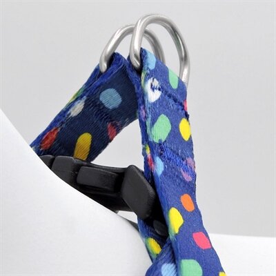 MORSO MINI HONDENTUIG VERSTELBAAR GERECYCLED COLOR INVADERS PAARS