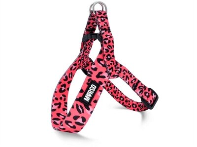 MORSO MINI HONDENTUIG VERSTELBAAR GERECYCLED BUBBLE LEO ROZE