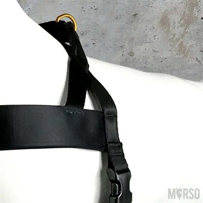 MORSO NORWEGIAN HONDENTUIG GERECYCLED GOLD CAVIAR GOUD