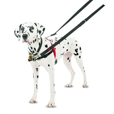 HALTI HARNESS FRONT CONTROL ZWART