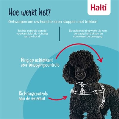 HALTI HARNESS FRONT CONTROL ZWART