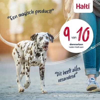 HALTI HARNESS FRONT CONTROL ZWART