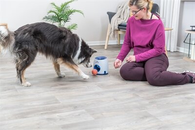 TRIXIE DOG ACTIVITY STRATEGIESPEL BALL&amp;TREAT WIT / BLAUW