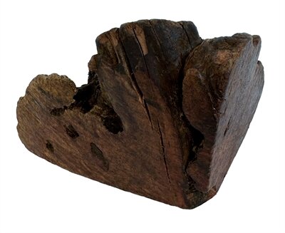 DOG WOODZZZ KAUWWORTEL MET OLIJFOLIE