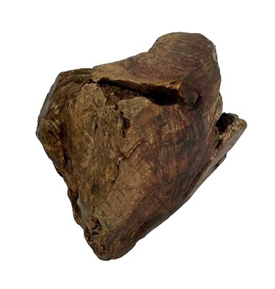 DOG WOODZZZ KAUWWORTEL MET OLIJFOLIE