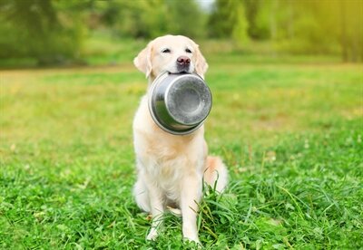 HAPPY PET VOERBAK RVS
