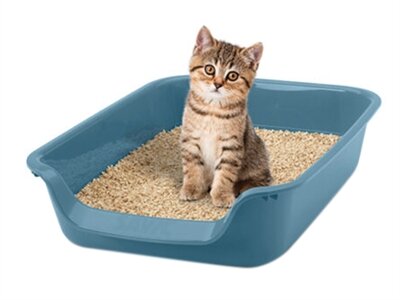 SAVIC JUNIOR KATTENBAK BLAUW