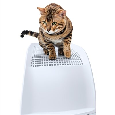 IMAC KATTENBAK FRIDA MET LADE LICHTBLAUW