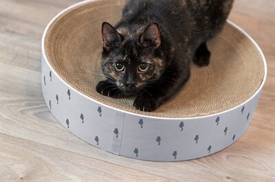 TRIXIE KRABMAND LILLY KARTON CATNIP LICHTGRIJS
