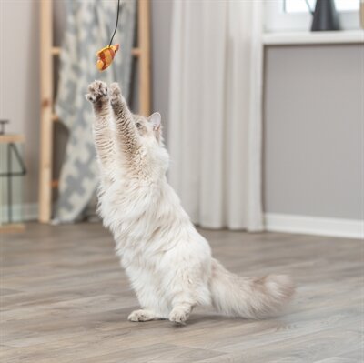TRIXIE KATTENHENGEL VIS KUNSTSTOF / PLUCHE