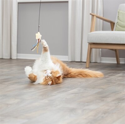 TRIXIE KATTENHENGEL STER KUNSTSTOF / PLUCHE MET CATNIP