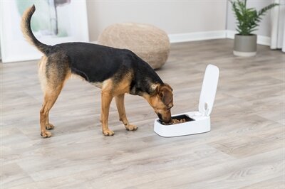 TRIXIE TX1 AUTOMATISCHE VOERDISPENSER