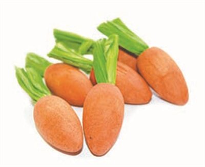 HAPPY PET CARROT NIBBLERS KNAAGHOUT