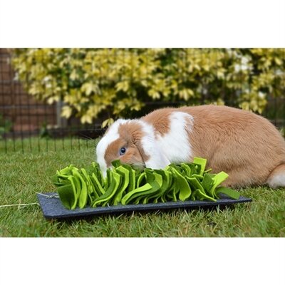 ROSEWOOD SNUFFELMAT KNAAGDIER ZWART / GROEN