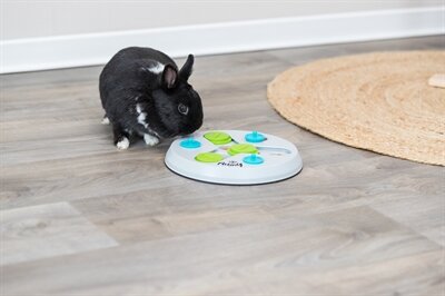 TRIXIE SLIDE&amp;FUNBOARD KUNSTSTOF