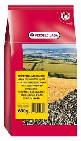 PRESTIGE GESTREEPTE ZONNEBLOEMPITTEN