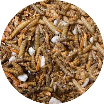 UTOPIA INSECTENMIX
