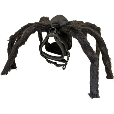 CROCI HONDENTUIG FRIGHT SPIDER